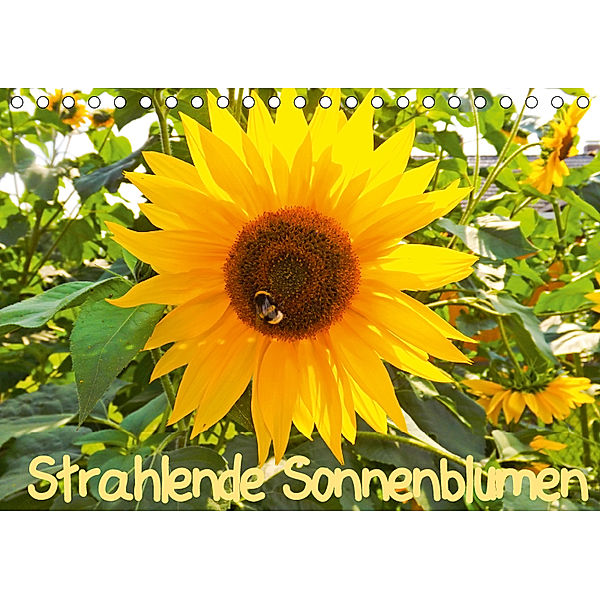 Strahlende Sonnenblumen / CH - Version (Tischkalender 2019 DIN A5 quer), Karin Sigwarth