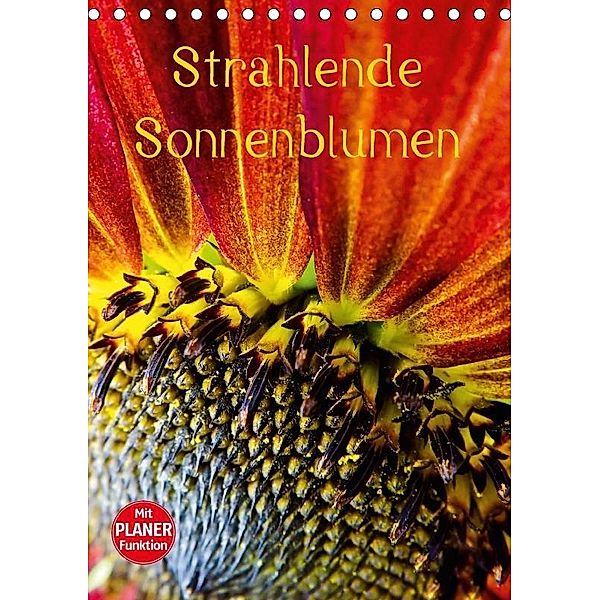 Strahlende Sonnenblumen (Tischkalender 2017 DIN A5 hoch), Karin Sigwarth