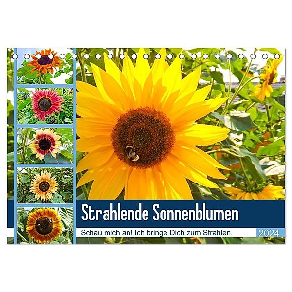 Strahlende Sonnenblumen (Tischkalender 2024 DIN A5 quer), CALVENDO Monatskalender, Karin Sigwarth