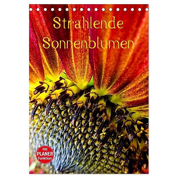 Strahlende Sonnenblumen (Tischkalender 2024 DIN A5 hoch), CALVENDO Monatskalender, Karin Sigwarth