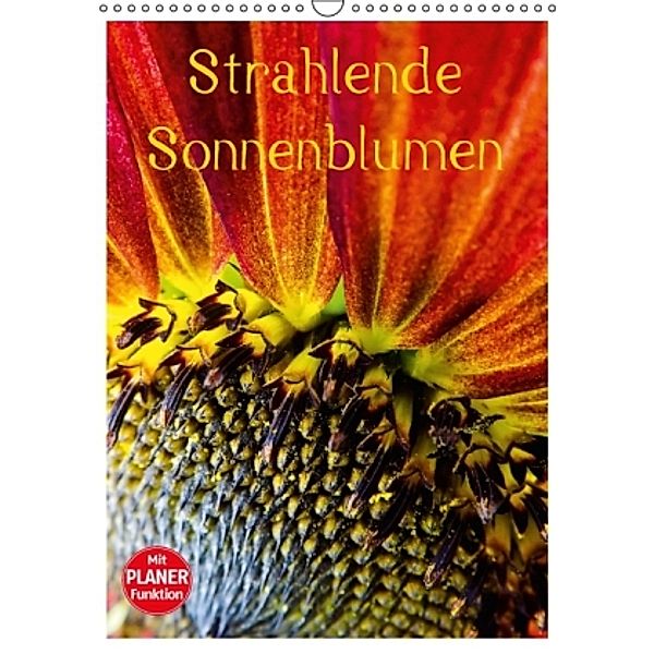 Strahlende Sonnenblumen (Wandkalender 2016 DIN A3 hoch), Karin Sigwarth