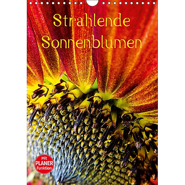 Strahlende Sonnenblumen (Wandkalender 2019 DIN A4 hoch), Karin Sigwarth