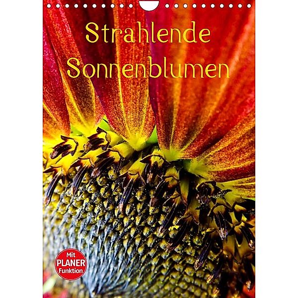 Strahlende Sonnenblumen (Wandkalender 2023 DIN A4 hoch), Karin Sigwarth