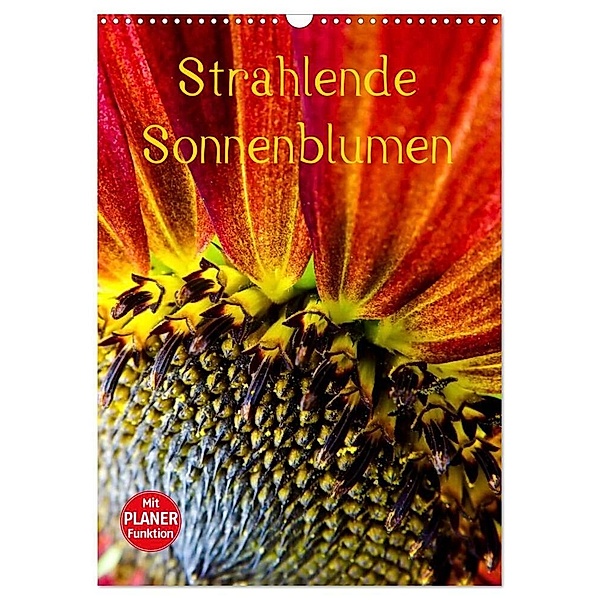 Strahlende Sonnenblumen (Wandkalender 2024 DIN A3 hoch), CALVENDO Monatskalender, Karin Sigwarth