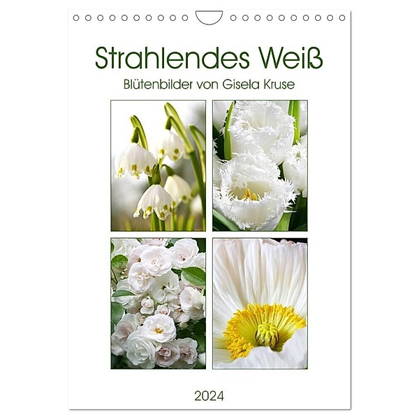 Strahlendes Weiß Blütenbilder (Wandkalender 2024 DIN A4 hoch), CALVENDO Monatskalender, Gisela Kruse