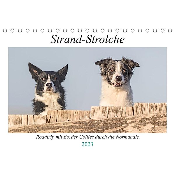 Strand-Strolche (Tischkalender 2023 DIN A5 quer), Barbara Homolka