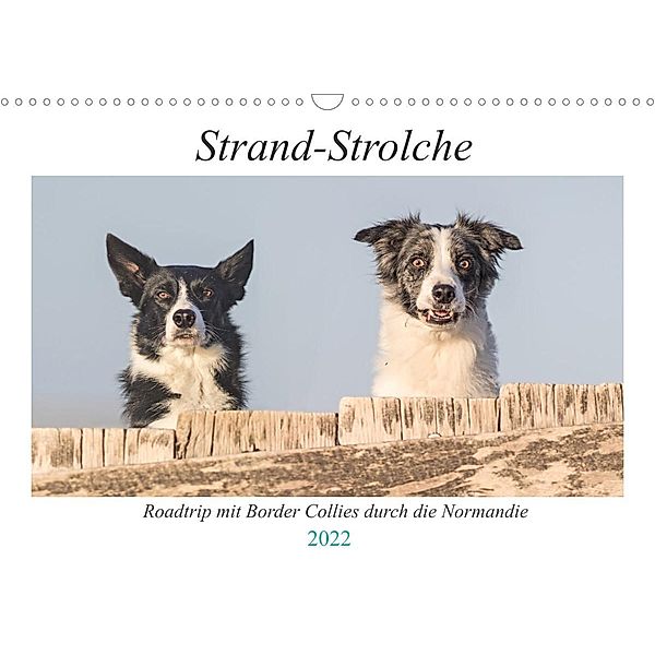 Strand-Strolche (Wandkalender 2022 DIN A3 quer), Barbara Homolka