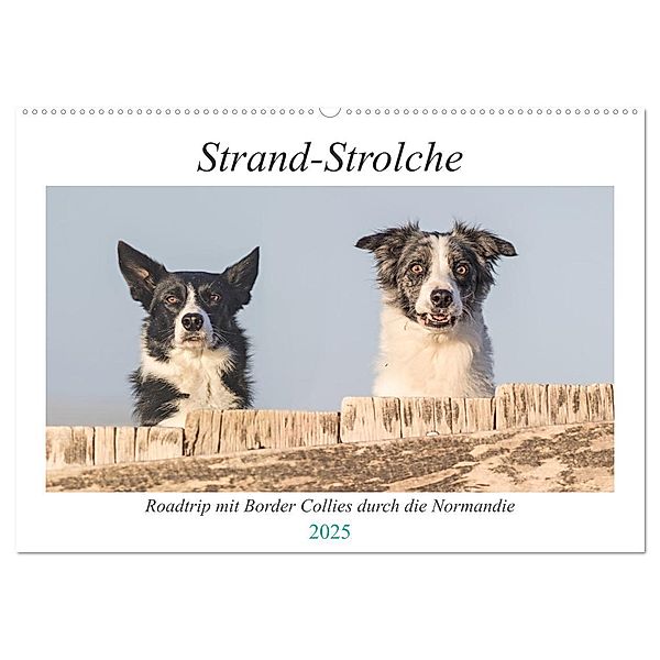 Strand-Strolche (Wandkalender 2025 DIN A2 quer), CALVENDO Monatskalender, Calvendo, Barbara Homolka