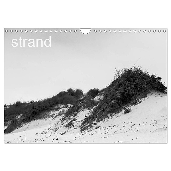Strand (Wandkalender 2024 DIN A4 quer), CALVENDO Monatskalender, toby deinhardt
