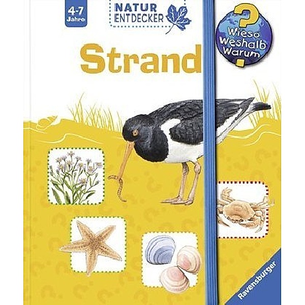 Strand / Wieso? Weshalb? Warum? Natur-Entdecker Bd.2, Daniela Prusse, Steffen Walentowitz