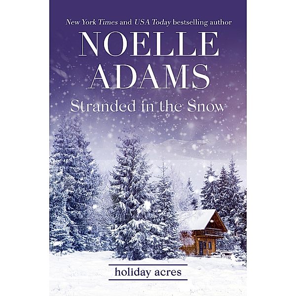 Stranded in the Snow (Holiday Acres, #2) / Holiday Acres, Noelle Adams