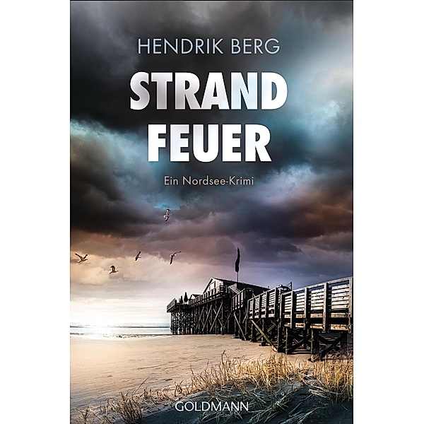 Strandfeuer / Theo Krumme Bd.8, Hendrik Berg