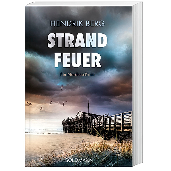 Strandfeuer / Theo Krumme Bd.8, Hendrik Berg