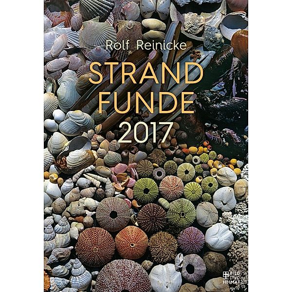 Strandfunde 2017, Rolf Reinicke