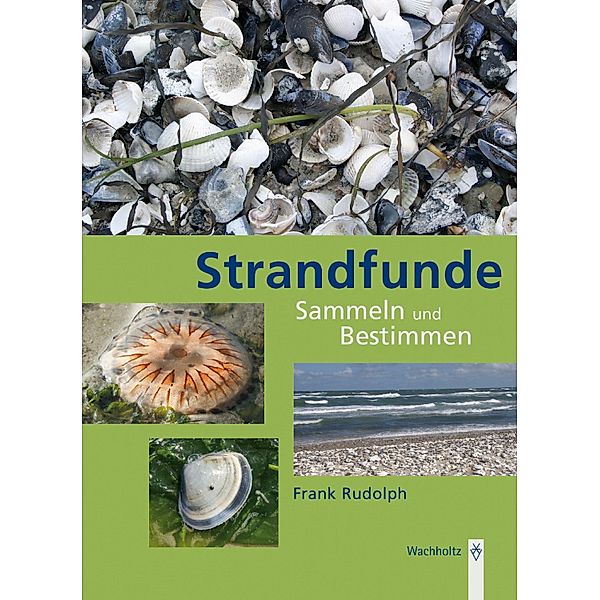 Strandfunde, Frank Rudolph