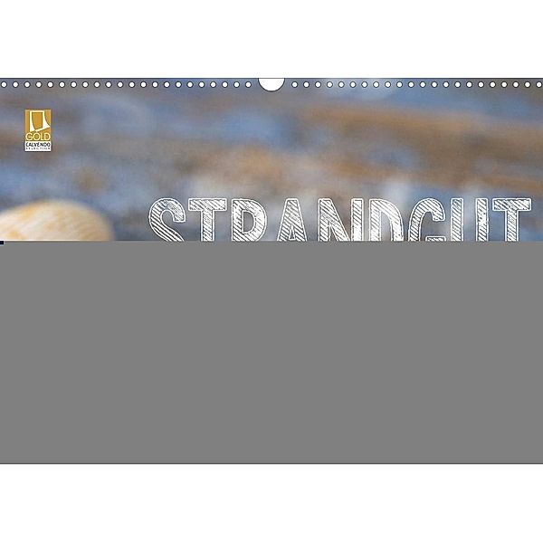 Strandgut und Meer 2023 (Wandkalender 2023 DIN A3 quer), Andrea Haase