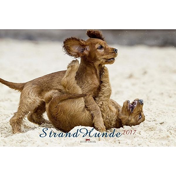 Strandhunde 2017