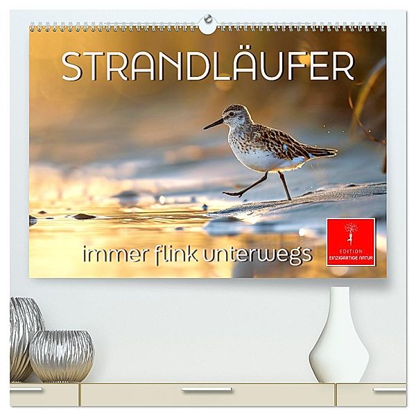 Strandläufer - immer flink unterwegs (hochwertiger Premium Wandkalender 2025 DIN A2 quer), Kunstdruck in Hochglanz, Calvendo, Peter Roder