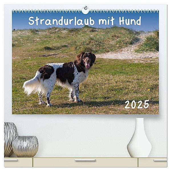 Strandurlaub mit Hund (hochwertiger Premium Wandkalender 2025 DIN A2 quer), Kunstdruck in Hochglanz, Calvendo, Heidi Bollich