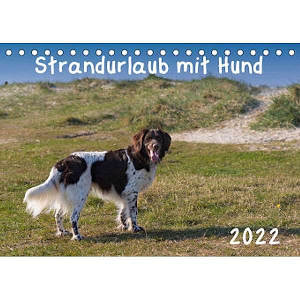 Strandurlaub mit Hund (Tischkalender 2022 DIN A5 quer), Heidi Bollich