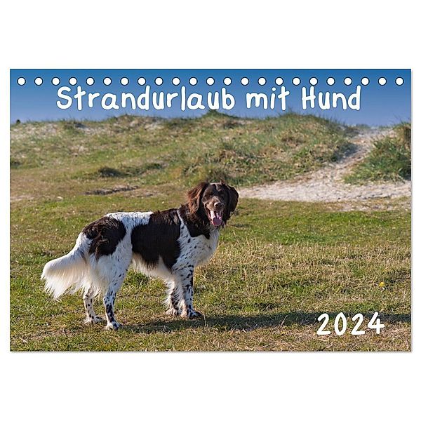 Strandurlaub mit Hund (Tischkalender 2024 DIN A5 quer), CALVENDO Monatskalender, Heidi Bollich