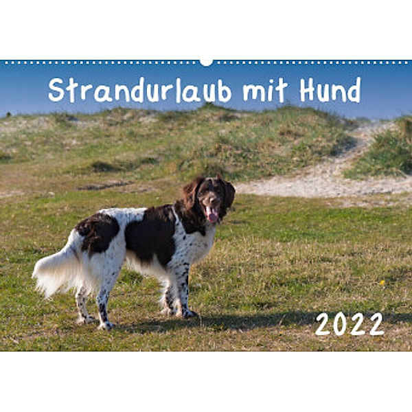 Strandurlaub mit Hund (Wandkalender 2022 DIN A2 quer), Heidi Bollich