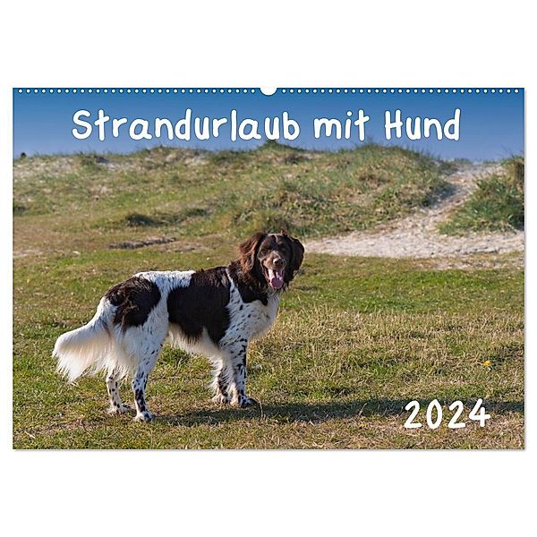 Strandurlaub mit Hund (Wandkalender 2024 DIN A2 quer), CALVENDO Monatskalender, Heidi Bollich