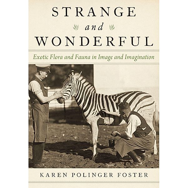 Strange and Wonderful, Karen Polinger Foster