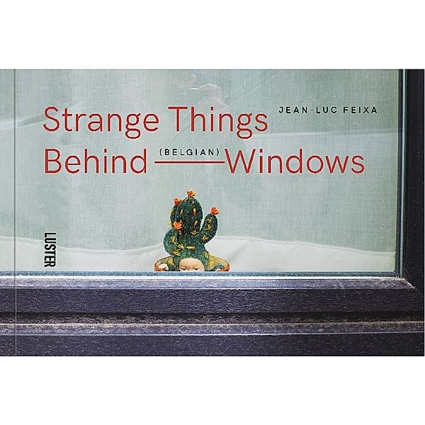 Strange Things Behind Belgian Windows, Jean-Luc Feixa