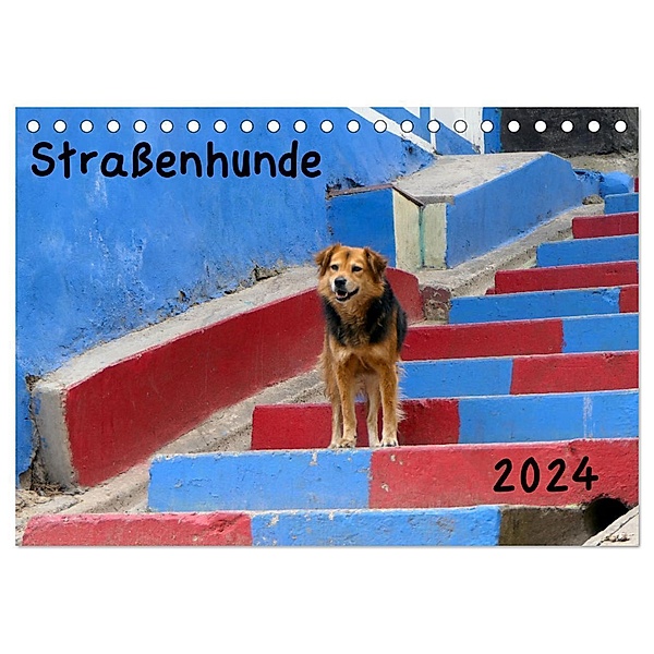Strassenhunde 2024 (Tischkalender 2024 DIN A5 quer), CALVENDO Monatskalender, Jochen Gerken