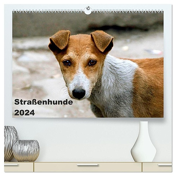 Straßenhunde (hochwertiger Premium Wandkalender 2024 DIN A2 quer), Kunstdruck in Hochglanz, Antje Bakker