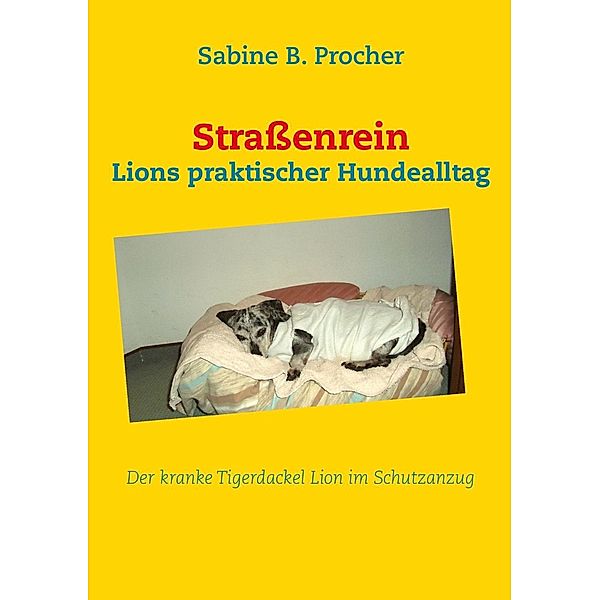 Straßenrein, Sabine B. Procher