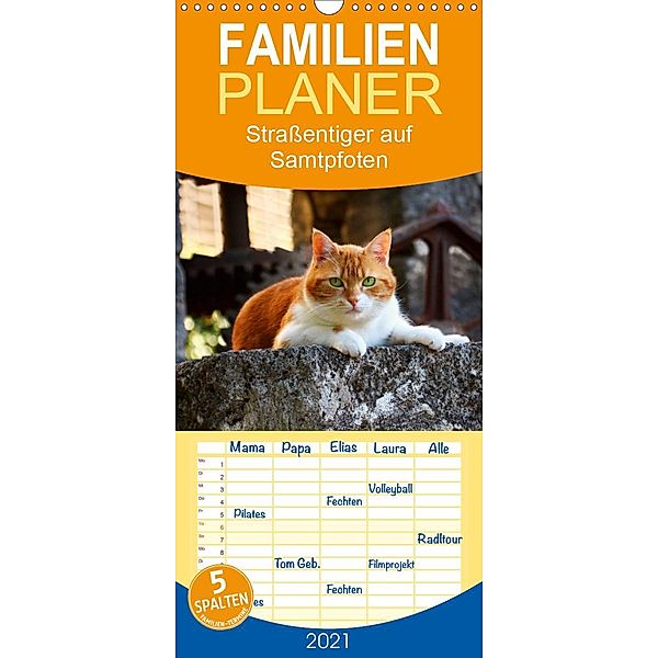 Straßentiger auf Samtpfoten - Familienplaner hoch (Wandkalender 2021 , 21 cm x 45 cm, hoch), Katrin Zeller & Christian Kiedy