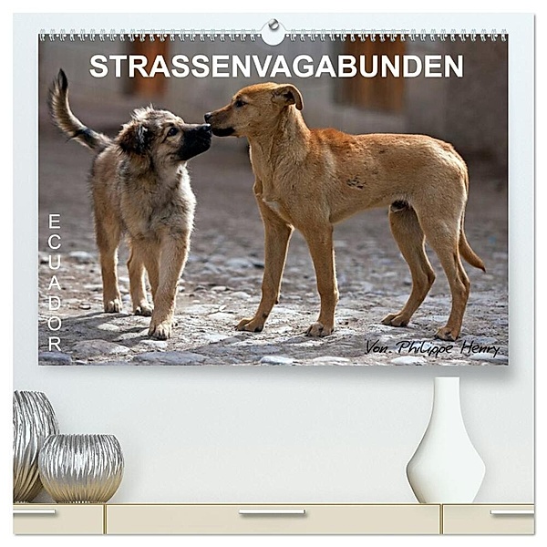 STRASSENVAGABUNDEN (hochwertiger Premium Wandkalender 2024 DIN A2 quer), Kunstdruck in Hochglanz, Philippe Henry