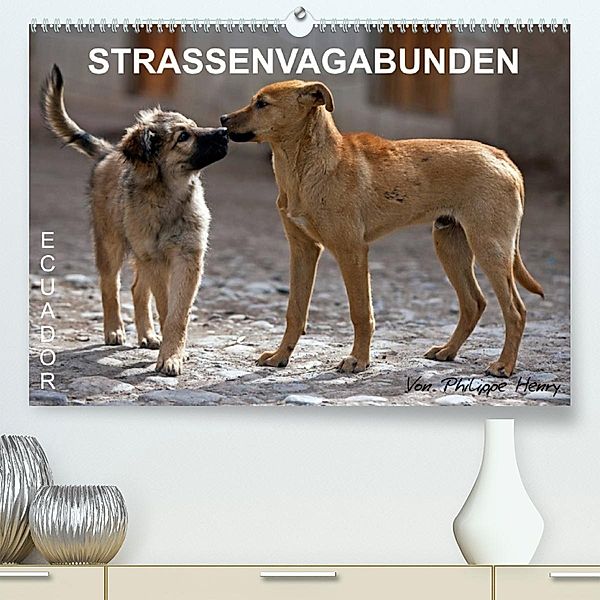 STRASSENVAGABUNDEN (Premium, hochwertiger DIN A2 Wandkalender 2023, Kunstdruck in Hochglanz), Philippe Henry