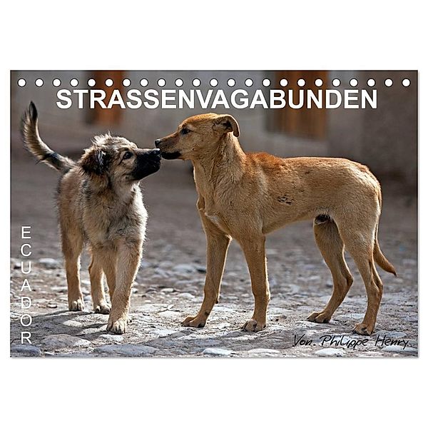 STRASSENVAGABUNDEN (Tischkalender 2024 DIN A5 quer), CALVENDO Monatskalender, Philippe Henry