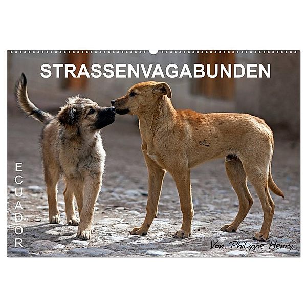 STRASSENVAGABUNDEN (Wandkalender 2024 DIN A2 quer), CALVENDO Monatskalender, Philippe Henry