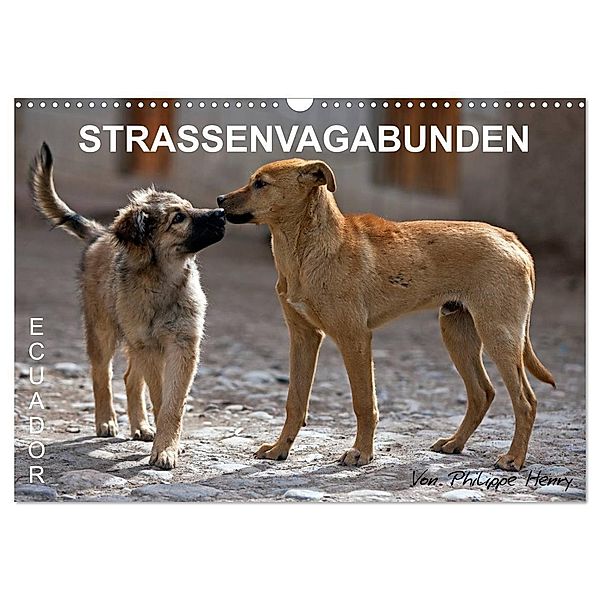 STRASSENVAGABUNDEN (Wandkalender 2024 DIN A3 quer), CALVENDO Monatskalender, Philippe Henry