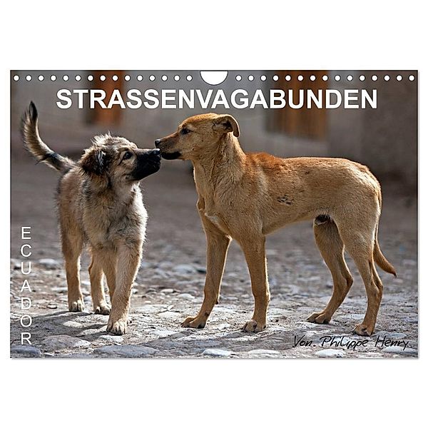 STRASSENVAGABUNDEN (Wandkalender 2024 DIN A4 quer), CALVENDO Monatskalender, Philippe Henry