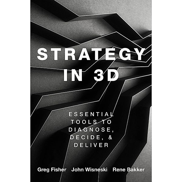 Strategy in 3D, Greg Fisher, John E. Wisneski, Rene M. Bakker