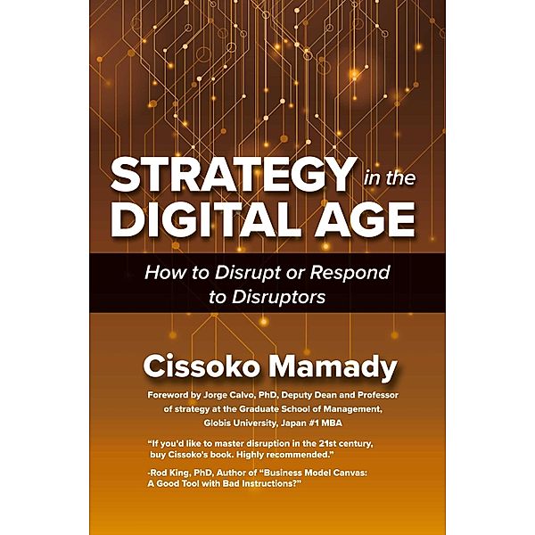 Strategy in the Digital Age, Cissoko Mamady