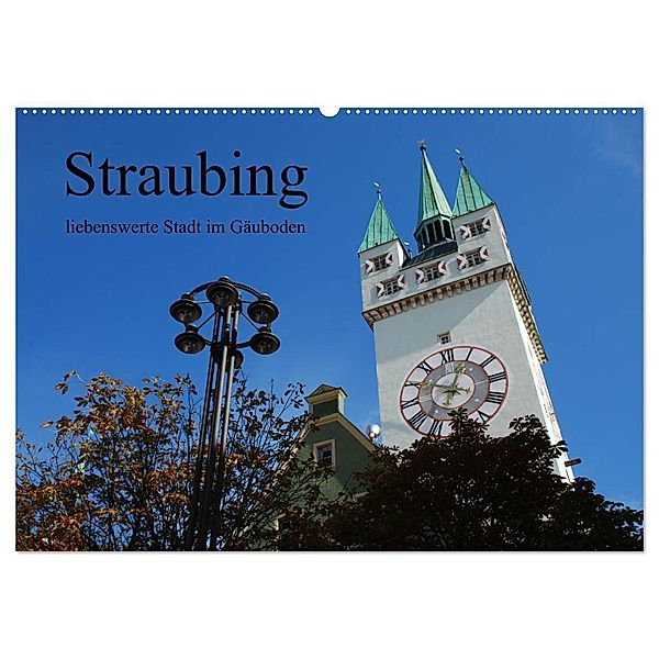 Straubing, liebenswerte Stadt im Gäuboden (Wandkalender 2025 DIN A2 quer), CALVENDO Monatskalender, Calvendo, Karin Stein