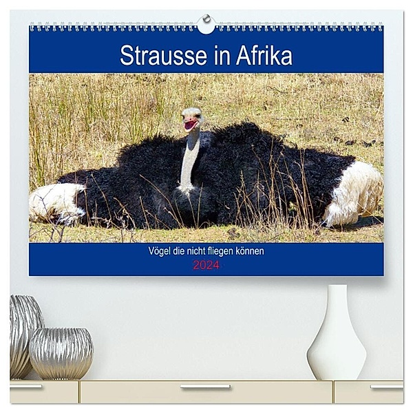 Strausse in Afrika (hochwertiger Premium Wandkalender 2024 DIN A2 quer), Kunstdruck in Hochglanz, Barbara Fraatz