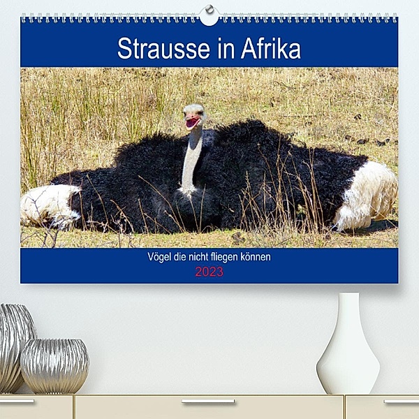 Strausse in Afrika (Premium, hochwertiger DIN A2 Wandkalender 2023, Kunstdruck in Hochglanz), Barbara Fraatz