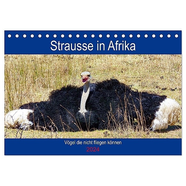 Strausse in Afrika (Tischkalender 2024 DIN A5 quer), CALVENDO Monatskalender, Barbara Fraatz