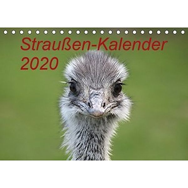 Straußen-Kalender 2020 (Tischkalender 2020 DIN A5 quer), Bernd Witkowski