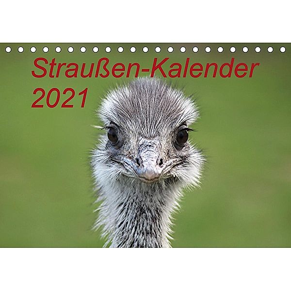 Straußen-Kalender 2021 (Tischkalender 2021 DIN A5 quer), Bernd Witkowski