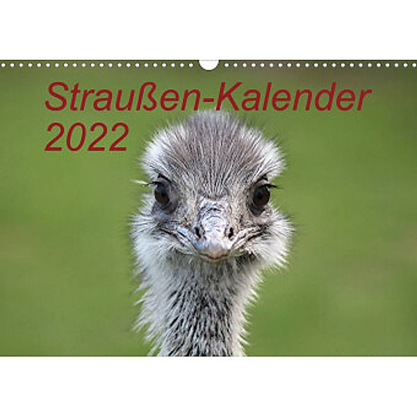 Straußen-Kalender 2022 (Wandkalender 2022 DIN A3 quer), Bernd Witkowski
