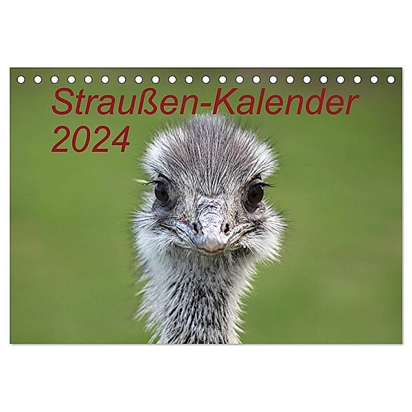 Straußen-Kalender 2024 (Tischkalender 2024 DIN A5 quer), CALVENDO Monatskalender, Bernd Witkowski
