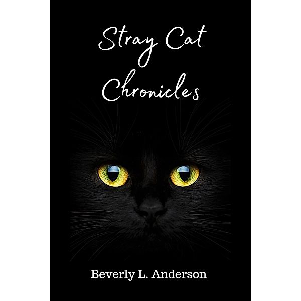 Stray Cat Chronicles, Beverly L. Anderson